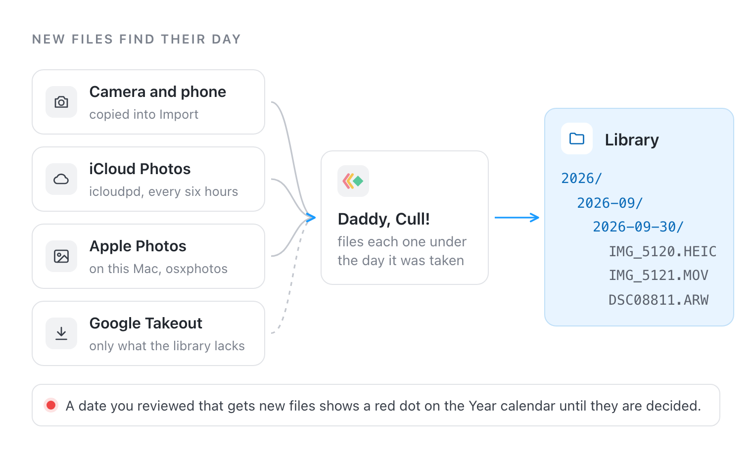 Camera and phone files, iCloud Photos, Apple Photos and Google Takeout all go through Daddy, Cull!, which files each one under the day it was taken, such as 2026, 2026-09, 2026-09-30. A reviewed date that gets new files shows a red dot on the Year calendar.