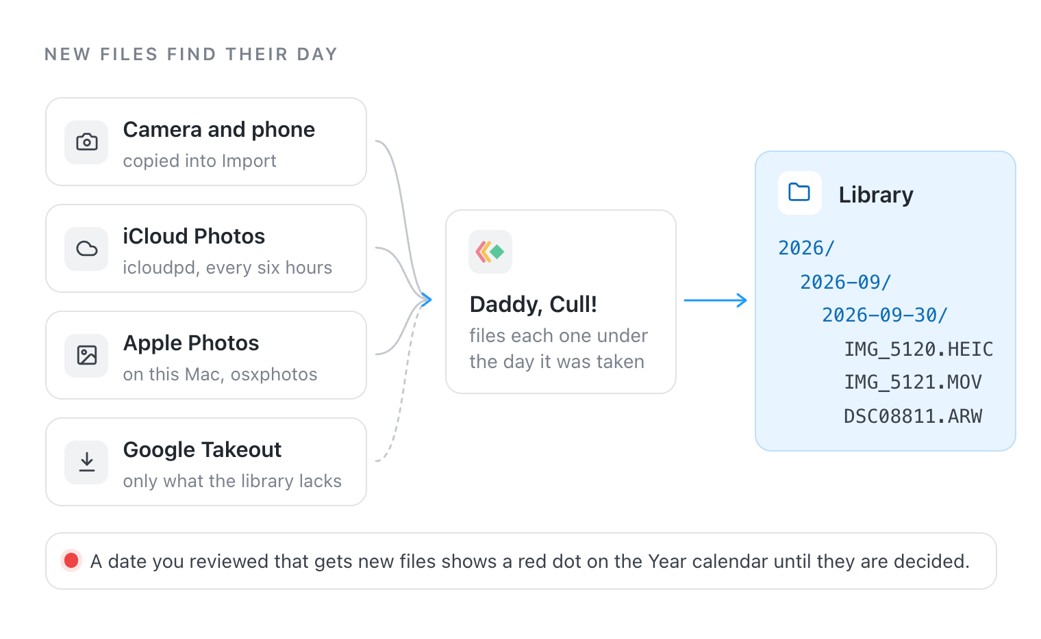 Camera and phone files, iCloud Photos, Apple Photos and Google Takeout all go through Daddy, Cull!, which files each one under the day it was taken, such as 2026, 2026-09, 2026-09-30. A reviewed date that gets new files shows a red dot on the Year calendar.